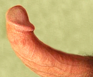 Thickening Penis 65